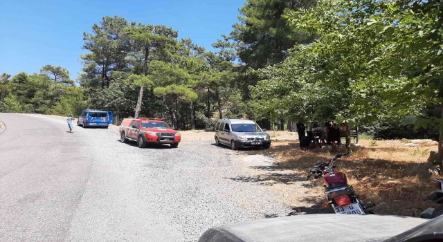 Keçiboynuzu hırsızlarını vatandaşlar yakaladı