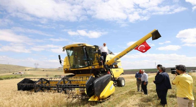 Keçiören Belediye Başkanı Turgut Altınok, ilk buğday hasadını yaptı