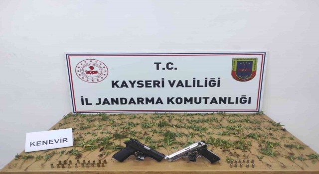 Kenevir yetiştiren şahıslara gözaltı