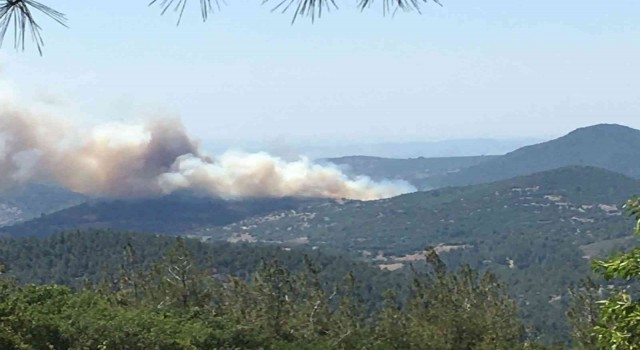 Kepsutta orman yangını