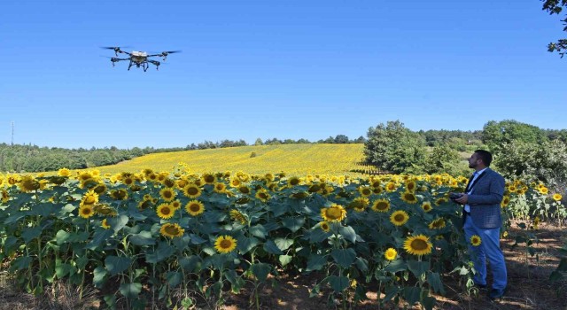 Kestelde çayır tırtılı istilasına dronlu önlem