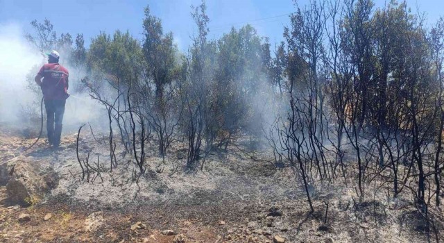 Kiliste çıkan orman yangını kısa sürede söndürüldü