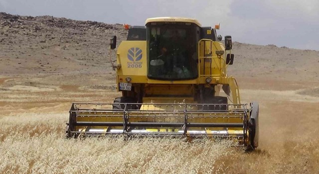 Kiliste Hububat hasadı sona erdi