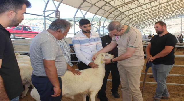 Kiliste kurban pazarı denetlendi