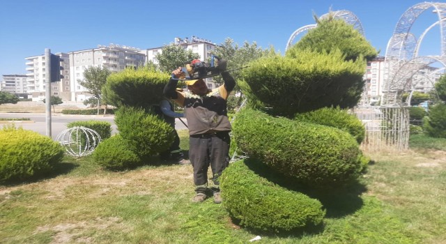 Kiliste park, refüj ve bulvarlar yaz bakımı