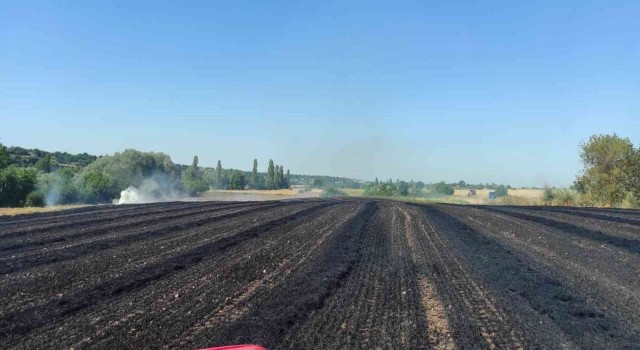 Kırklarelide 55 dekar buğday tarlası küle döndü