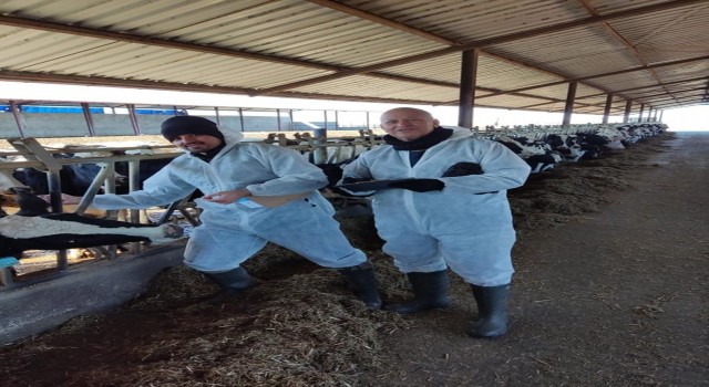 Kırklarelinde arilik çalışmaları sürüyor