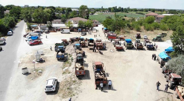 Kırklarelinde kurbanlıklar alıcısını bekliyor