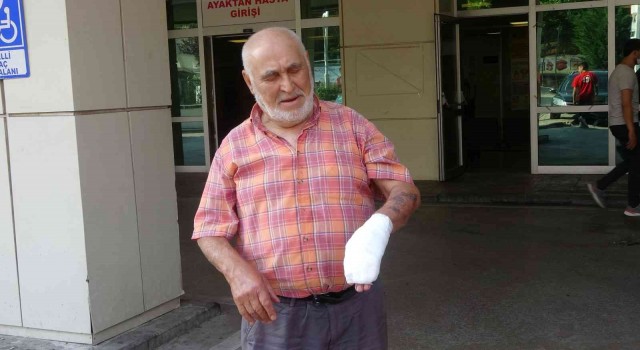 Kocaelide acemi kasaplar soluğu hastanede aldı