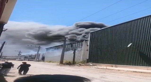 Kocaelide fabrika yangını