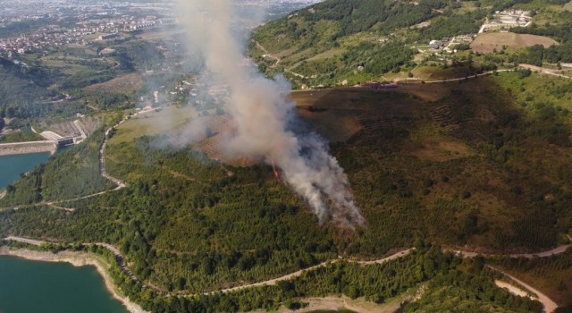 Kocaelide ormanlık alanda yangın çıktı, söndürme çalışmaları devam ediyor