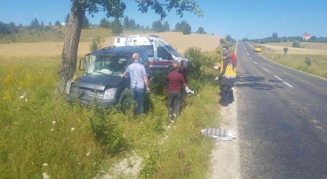 Kontrolden çıkan hafif ticari araç ağaca çarptı: 1 yaralı
