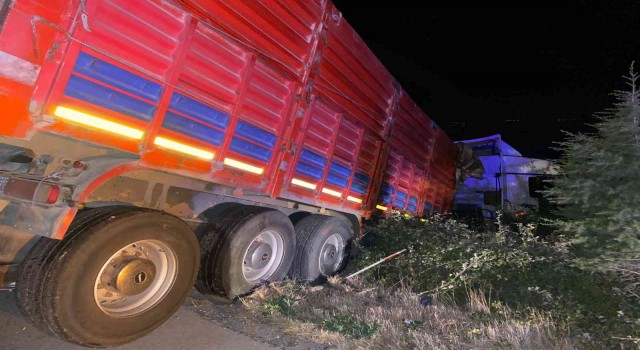 Kontrolden çıkan tır şarampole düştü: 1 yaralı