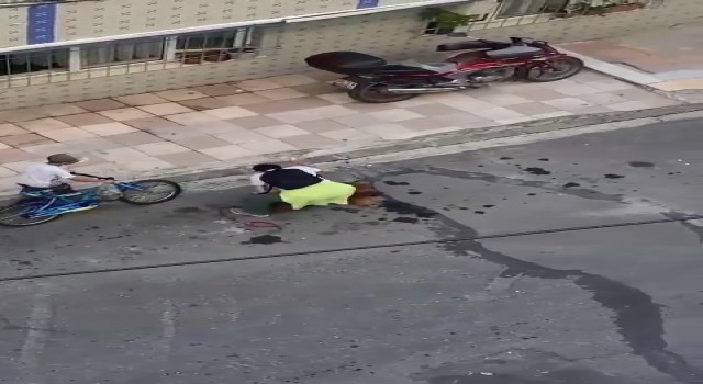 Köpeğine vurup, tasmasını çekişirdi: Vatandaşlar kadına tepki gösterdi
