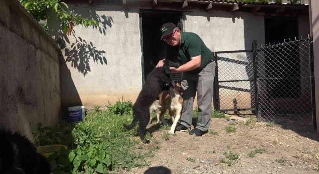Köpeklerini bulana 5 bin TL ödül verecek