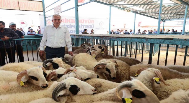 Küçükbaş yetiştiricisine yıkıma makinesi desteği