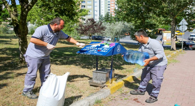 Küçükçekmecede hayvan dostu belediyecilik