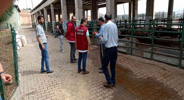 Kurban bayramı öncesi denetim yapıldı