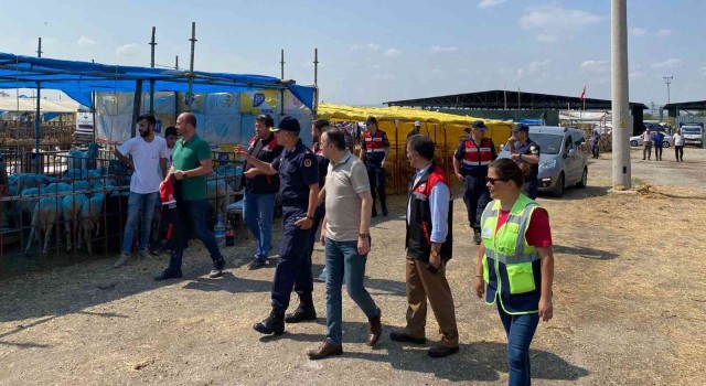 Kurban Bayramı öncesi hayvan pazarı denetimi