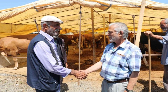 Kurban Bayramına bir gün kala pazarlıklar kızıştı