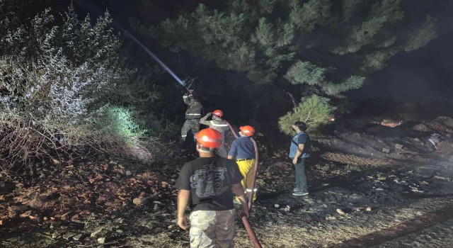Kuru otların tutuşmasıyla başlayan yangın ormana ulaşamadan söndürüldü