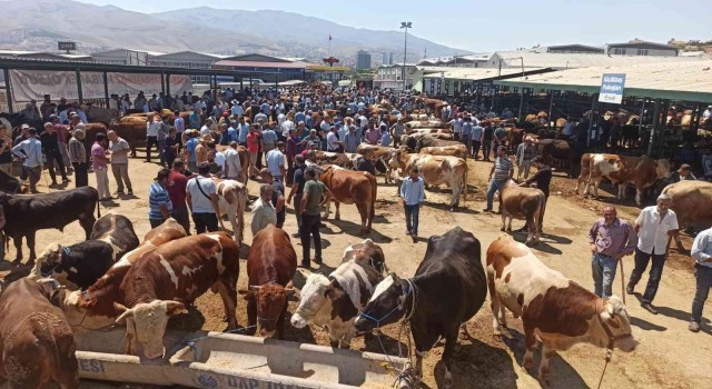 Malatya Kurban Pazarında arife yoğunluğu