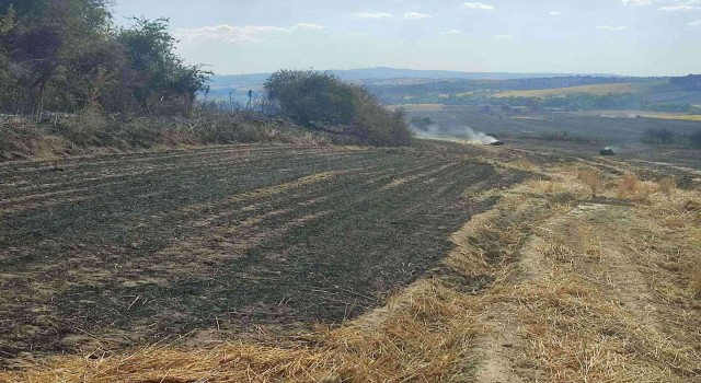 Malkarada 380 dönüm buğday tarlası kül oldu