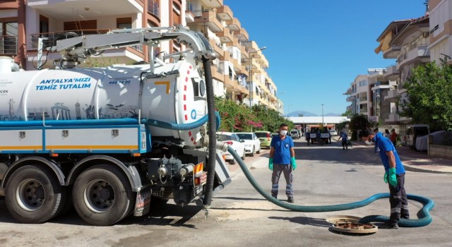 Manavgatta ilaçlama seferberliği