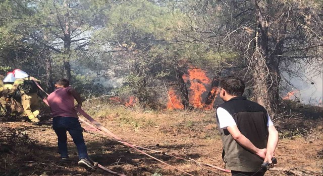 Manisa Gördesteki orman yangınında ekipler seferber oldu