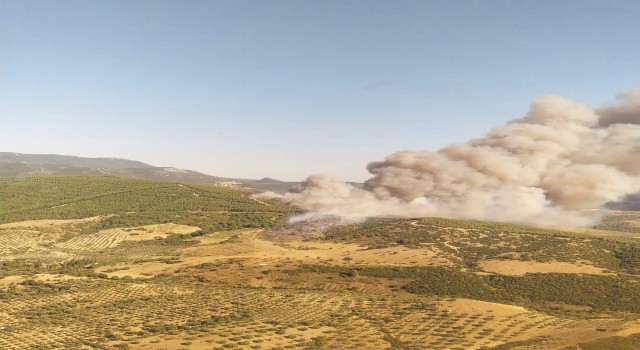 Manisada otluk alanda çıkan yangın ormana sıçradı