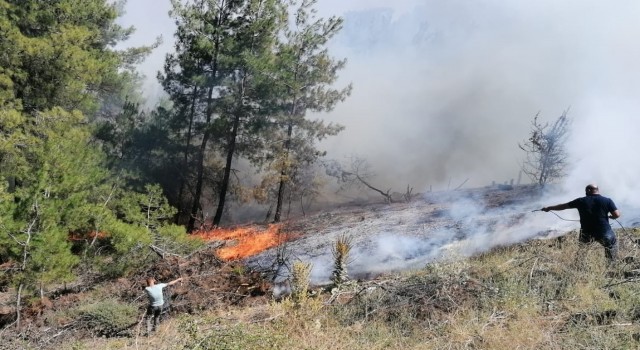 Manisadaki orman yangınında ekip sayısı artırılıyor
