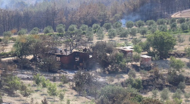 Manisadaki orman yangınıyla ilgili 2 kişi tutuklandı