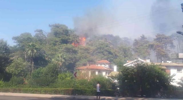 Marmariste orman yangını