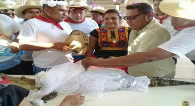Meksikada belediye başkanı timsahla evlendi