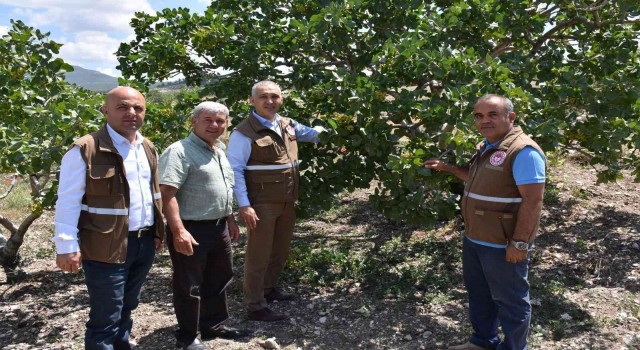 Menengiçten Antep Fıstığına Giden Yol Selendiden geçiyor