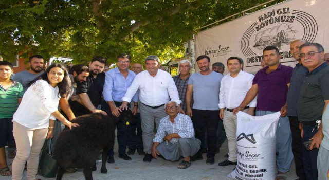 Mersinde 13 üreticiye 325 küçükbaş hayvan dağıtıldı