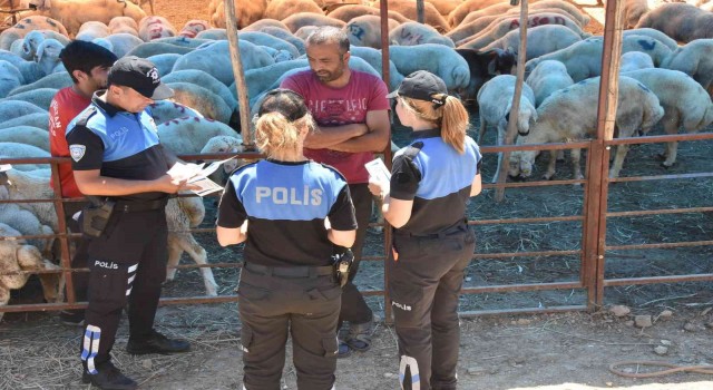 Mersinde hayvan satıcıları dolandırıcılara karşı bilgilendiriliyor