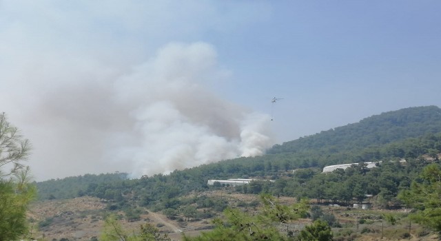 Mersinde orman yangınına 2 uçak ve 5 helikopterle müdahale ediliyor