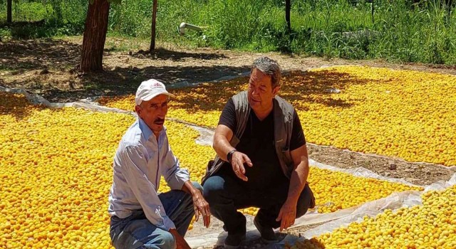 MHPli Fendoğlundan kayısı üreticilerine ziyaret
