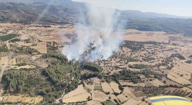 Milasta yangına havadan ve karadan müdahale devam ediyor