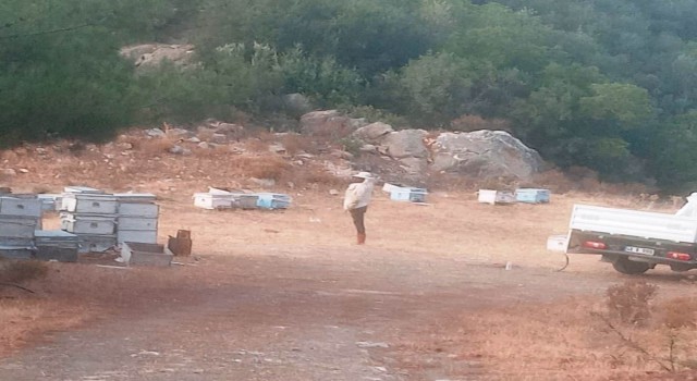 Muğla İl Tarım ve Orman Müdürlüğü yangın bölgesinde