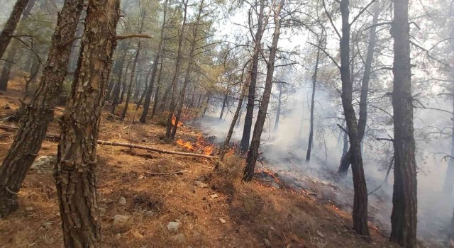 Muğla Valiliğinden Datçadaki orman yangını ile ilgili açıklama