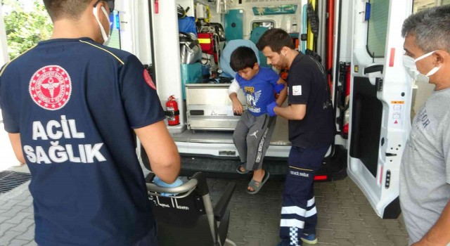 Muğlada çocuğa köpek saldırısı