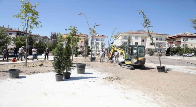 Nevşehirde parklar ağaçlandırılıyor