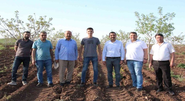 Okumak için geldiği Siirtte üretici olmayı hedefliyor