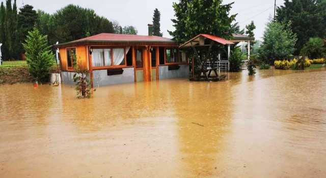 Orduda dereler taştı, kümes hayvanları telef oldu