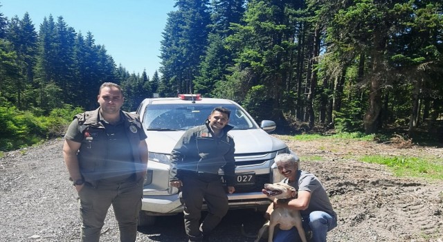 Ormanda kaybolan Bulut isimli köpek, 11 gün sonra sahibine kavuştu