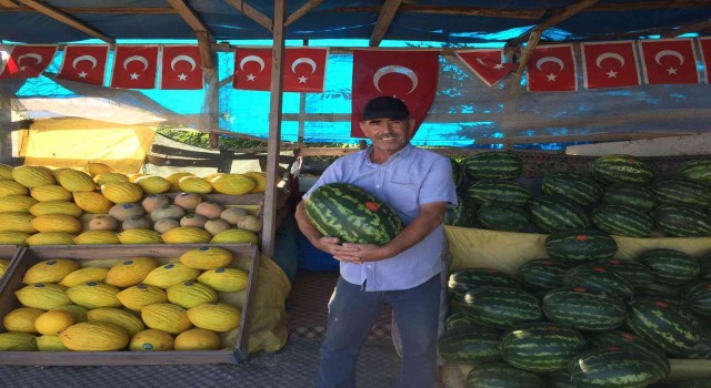 Osmaneli karpuzları artık ayırt edilebiliyor