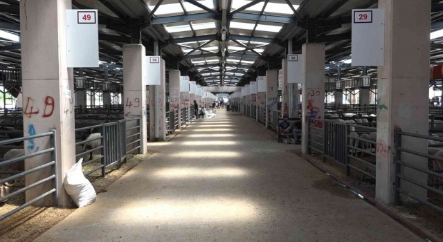 Osmangazide Kurban Kesim Yerleri Belli Oldu