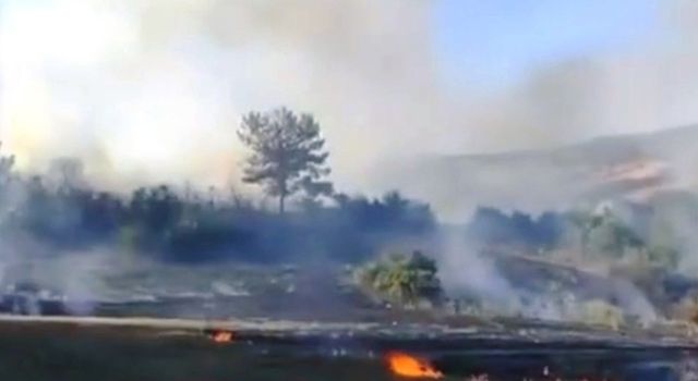 Osmaniye’de orman yangını, 2 dekarlık alan zarar gördü